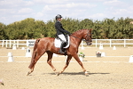 SBM_019266