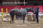 BPP_2528