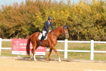 SBM_009356