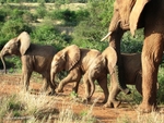 IMG_6671 Samburu