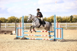 SBM_002815
