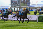 140526-Race 7-Arc Ole Ole-6029