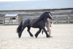 SBM_004033