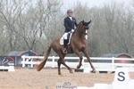 Cls 9 BD Young Horse 5YO portfolio