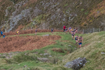 Stybarrow Dodd-105
