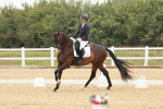 SBM_009879