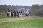 WJ6_9135