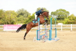 SBM_003784