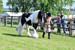 SBM_12187