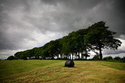 Freezing Hill