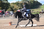 BPP_8933