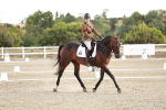 SBM_003492