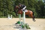 104-GALAKIS_DE_L'OCEAN-Harry_Meade-SUNTrotUp+SJ portfolio