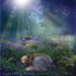 NEW! AS047 Bluebell Dawn