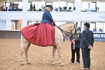 SBM_002892