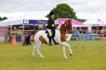 SBM_02569