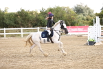 SBM_006355