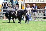 SBM_05873