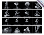 SILVER with Distinction - Rosemary Morris - NZIPP Iris Awards 2014 - P