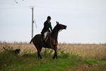 WJ6_9386