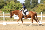 SBM_007530