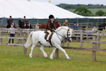 SBM_08475
