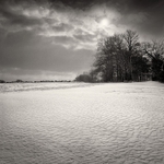 Snow Field (square format)