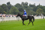 230823-Race 4-Mostahdaf-0617