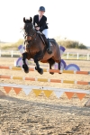 Class 7 - 1.00m portfolio