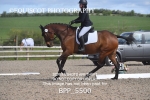 BPP_5500
