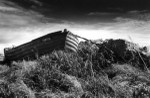 BW16