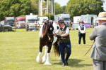 SBM_04161