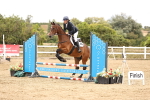 SBM_007433