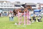BPP_6868