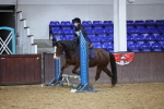 SBM_000144