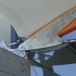 Canopy Detail