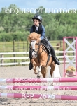 BPP_2676