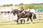SBM_18613