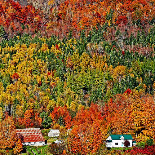 Autumn falls in brilliant colors near Sussex, New Brunswick