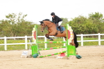 SBM_006031