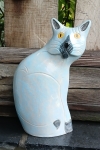 Blue/Grey cat