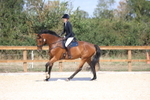 20260905-0553