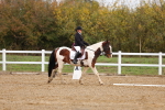 SBM_000148