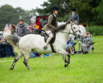 Dunblane show-430