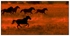 Wild Horses - 08