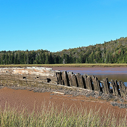 Shipwrecks of the Musquash Inner Estuary - 4