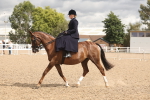 SBM_06355