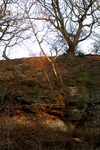 Stopham - 36