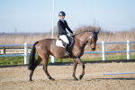 SBM_004345