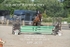 BPP_8035